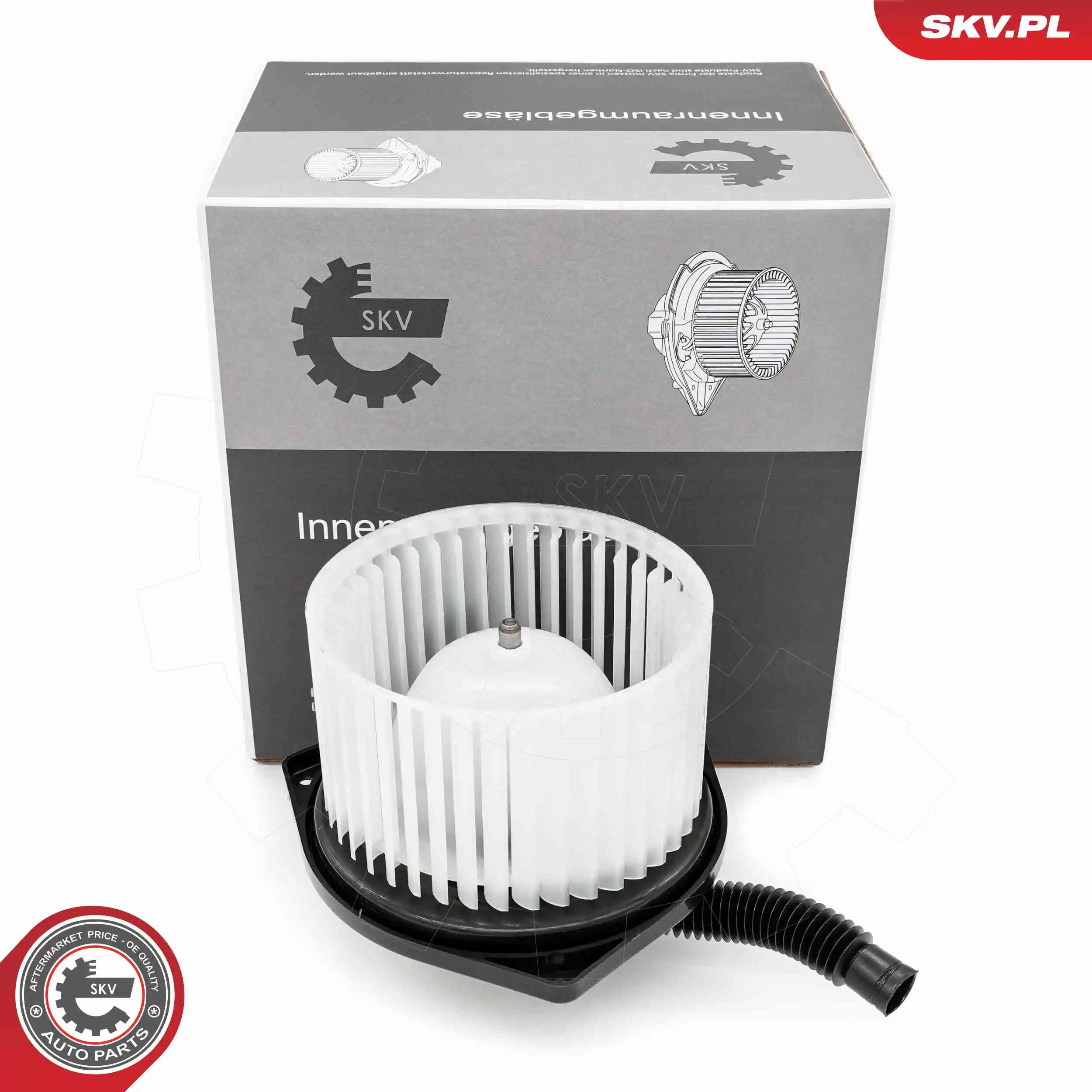 Interior Blower